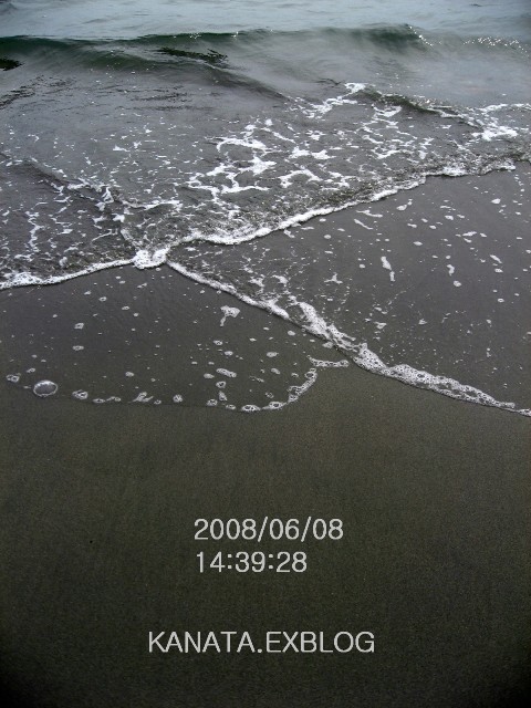 f0120483_20292188.jpg
