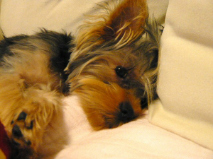 f0018384_18252795.jpg
