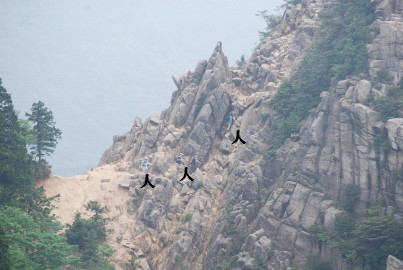 c0092787_8145885.jpg