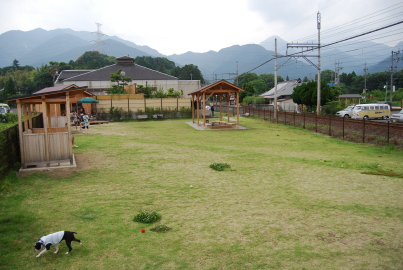 c0092787_820169.jpg