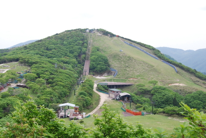 c0092787_852666.jpg
