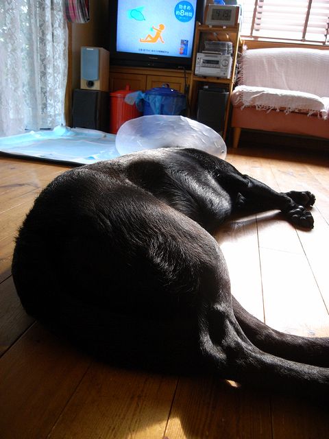 a0093592_22414221.jpg