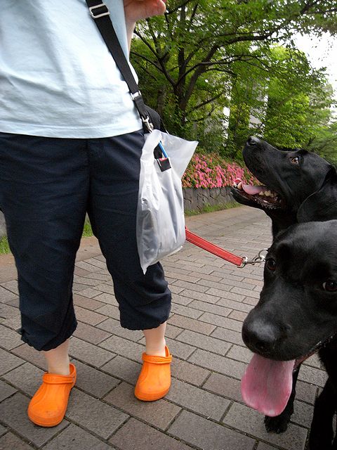 a0093592_22525438.jpg