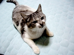 a0061594_235337.jpg