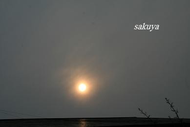 e0122194_2205439.jpg