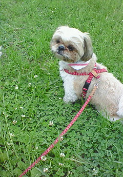 e0040602_062195.jpg