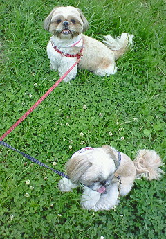 e0040602_062196.jpg