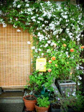 d0077603_10261549.jpg