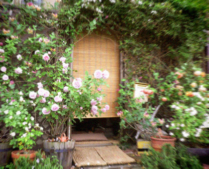 d0077603_9394981.jpg