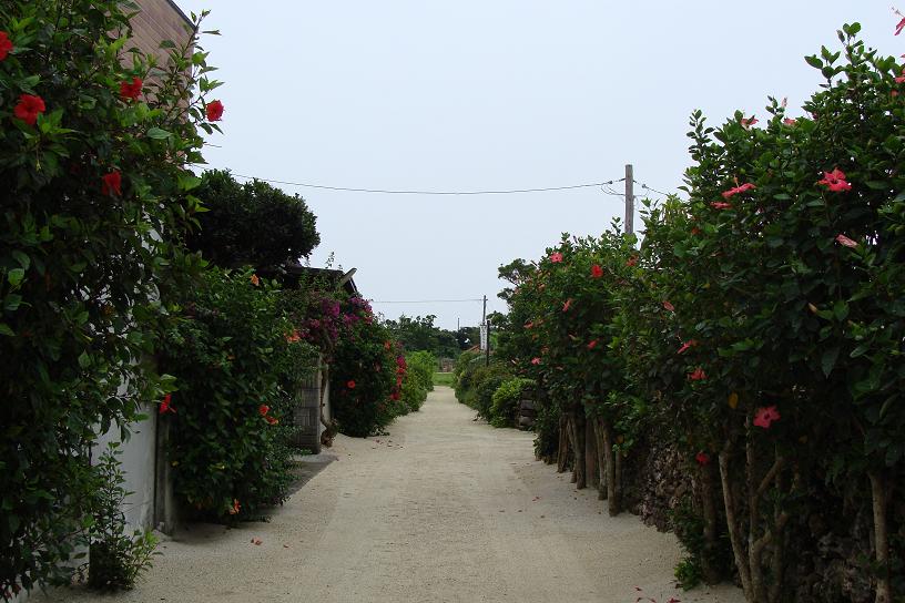 d0114214_192615100.jpg