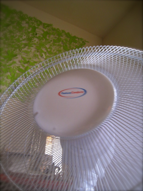 c0120817_9235953.jpg