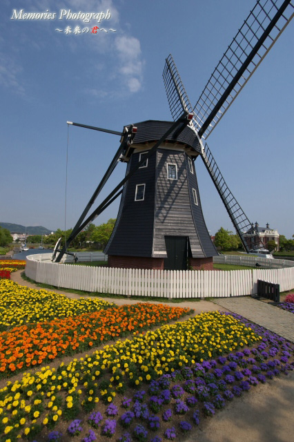 c0089419_22293547.jpg