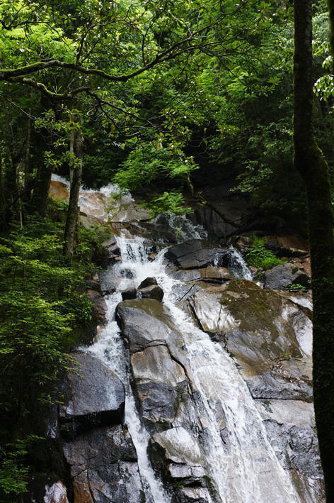 e0146919_158793.jpg