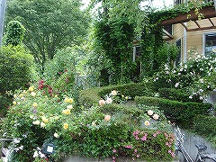 f0054421_0191763.jpg