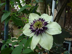 f0054421_0201022.jpg