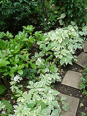 f0054421_0205699.jpg