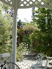 f0054421_101687.jpg