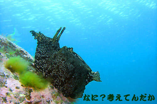 b0044726_20431623.jpg