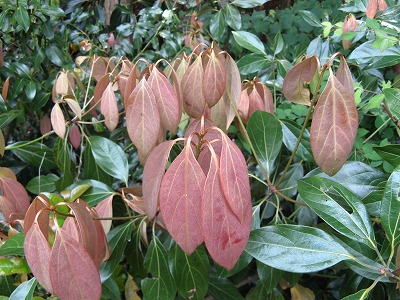 f0009128_2248308.jpg