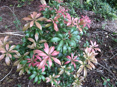 f0009128_22491024.jpg