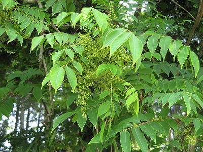 f0009128_22504313.jpg