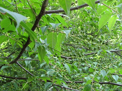 f0009128_22505778.jpg