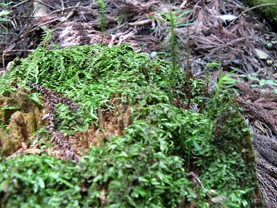 f0009128_22523170.jpg
