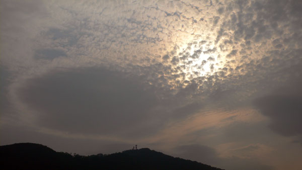 a0046429_2363754.jpg