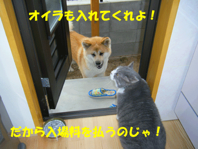 f0008935_13261193.gif