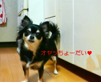 c0121141_23563725.jpg