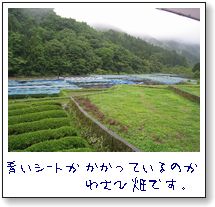b0082747_2051297.jpg