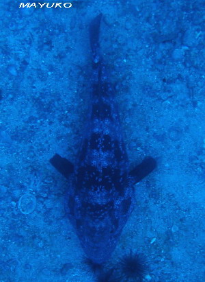 e0027447_16285823.jpg
