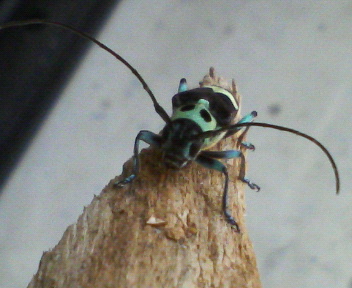 f0088647_22385451.jpg