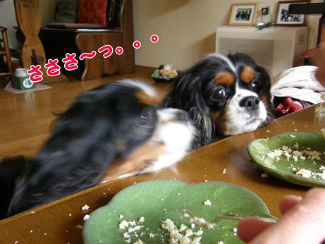 c0145250_11552392.jpg