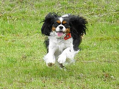 c0145250_1226314.jpg