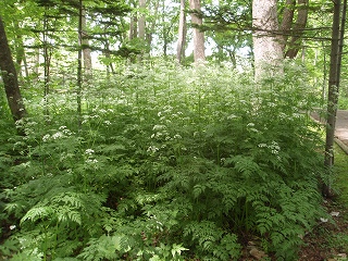e0004756_2102814.jpg