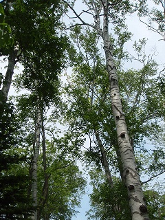 e0004756_2132038.jpg