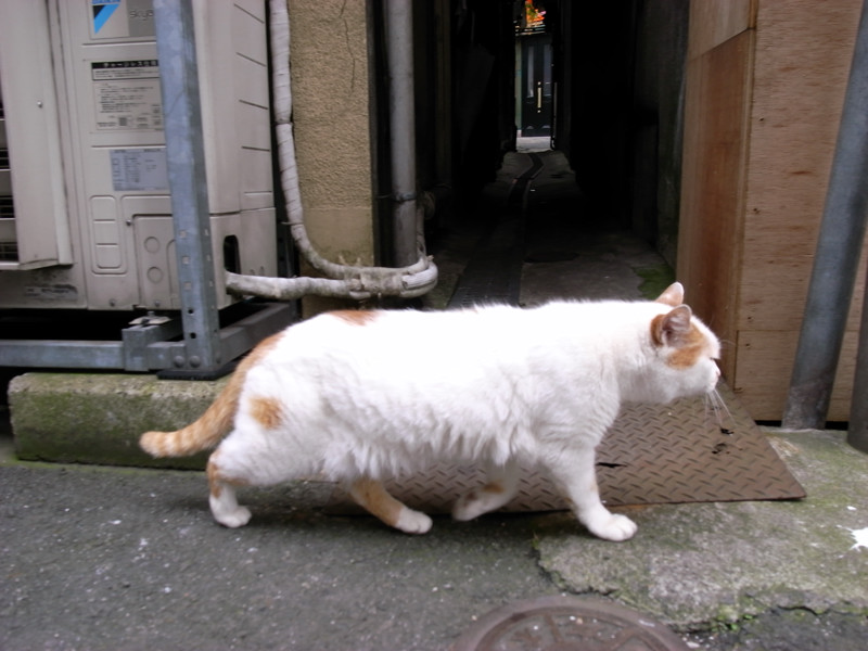 c0084666_8142142.jpg