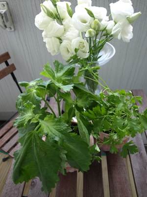 c0102268_16213951.jpg
