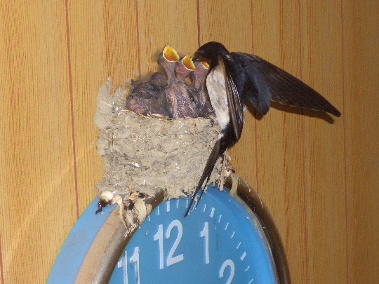 f0120770_2034748.jpg