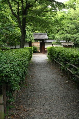b0139477_10322197.jpg