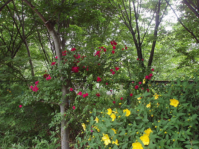 a0079880_21124838.jpg