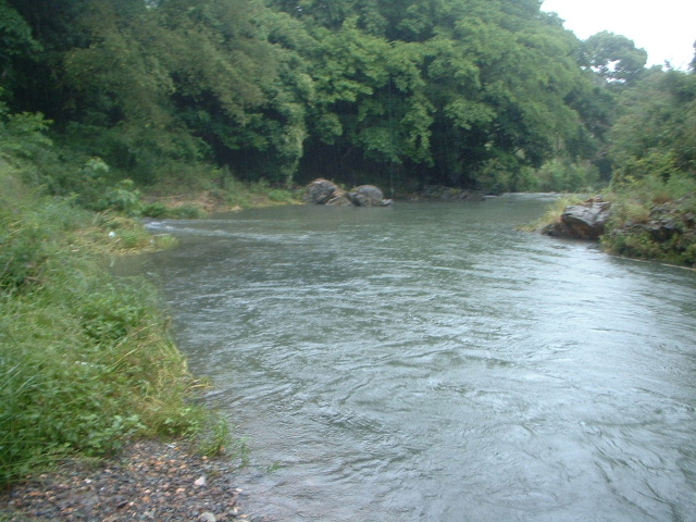 e0060485_23241528.jpg