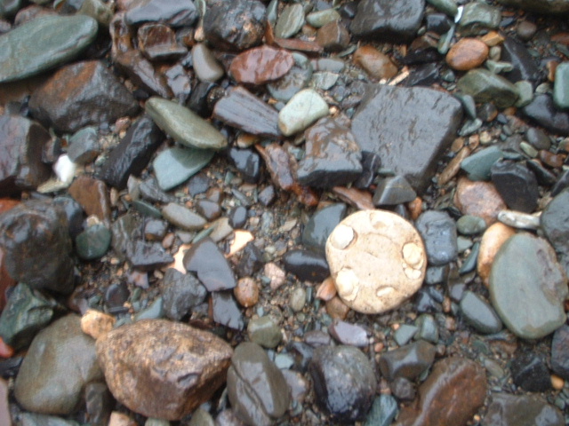 e0060485_23342517.jpg