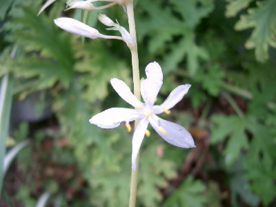 c0132387_1233578.jpg