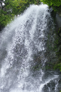 d0098792_8165280.jpg