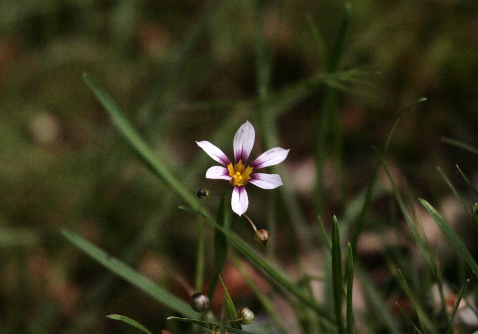d0133693_22432069.jpg