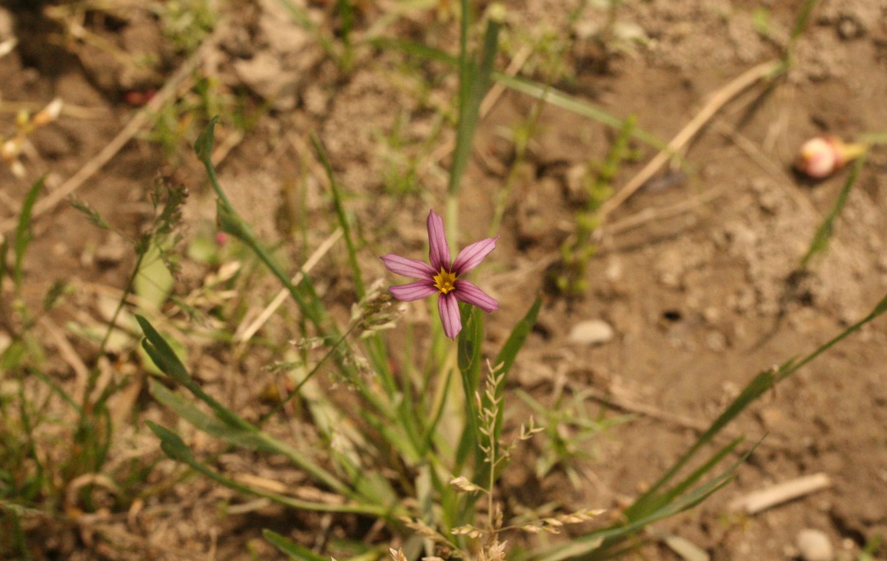 d0133693_22493636.jpg