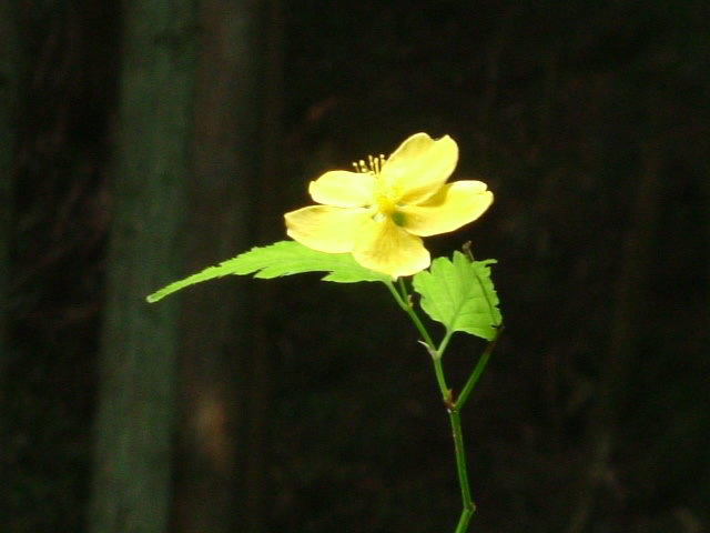 b0044296_2145110.jpg