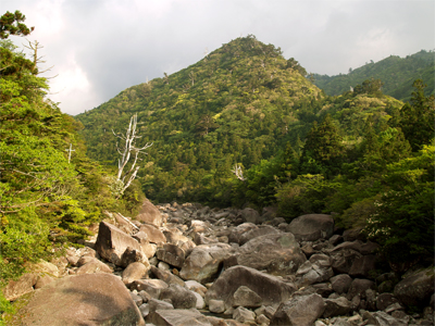 b0125301_133557.jpg
